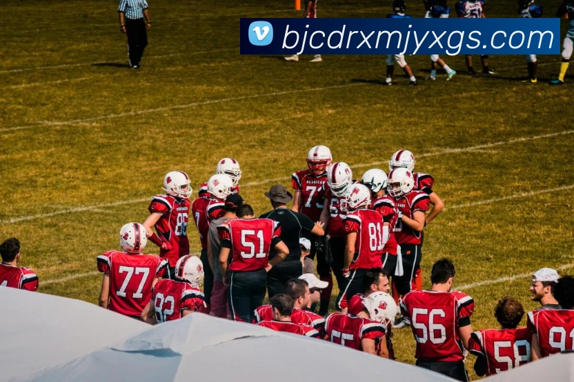 九游版官网入口品牌故事