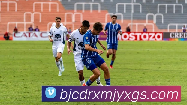 九游版官网入口服务体系